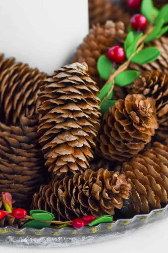 Roasted Pine Cone Aroma Oil